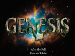 Genesis 3:8-24